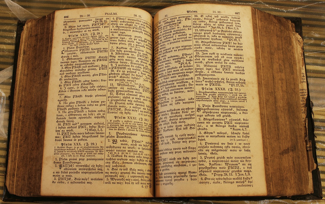 What's In The Portuguese New Testament? Bible Study Guide What's In The Portuguese New Testament? Bible Study Guide
