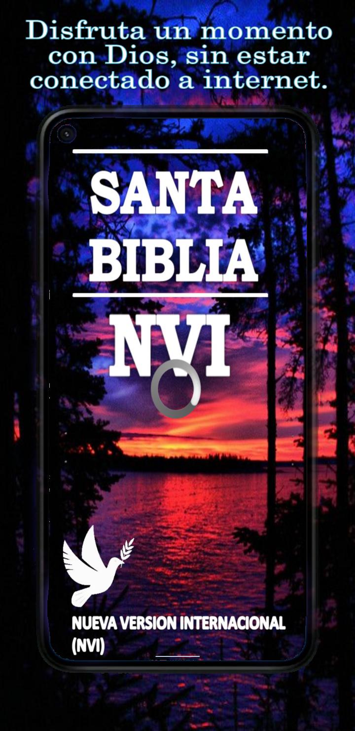 What's Josue 19 Nvi About? Bible Insights