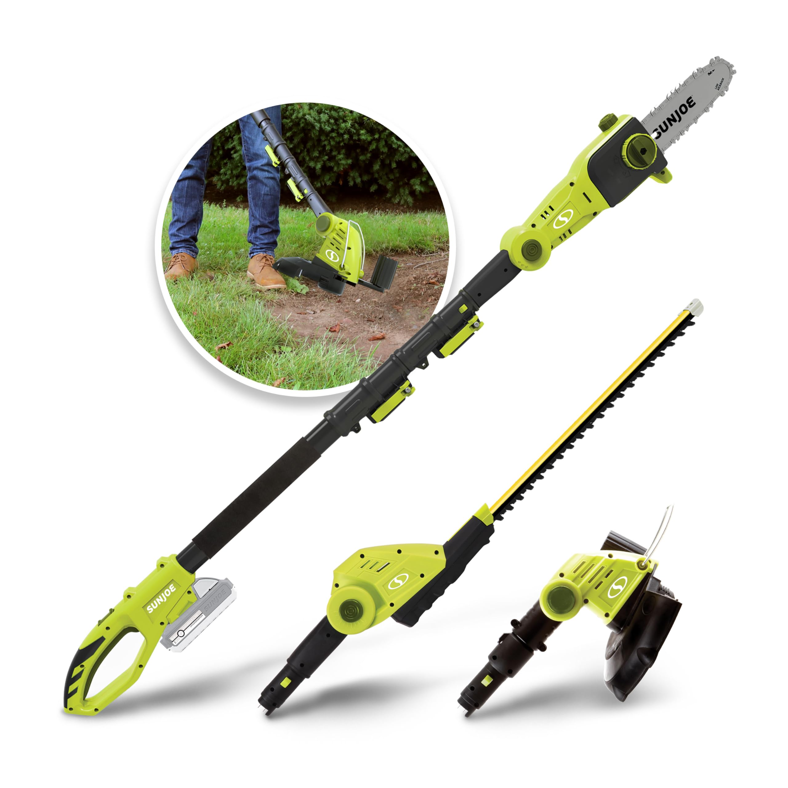 When To Prune Elm Trees