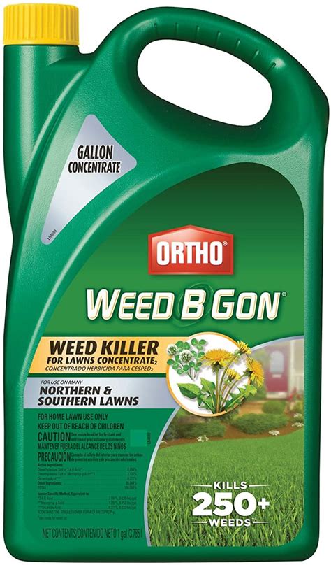 Which Weed Killer Is Best