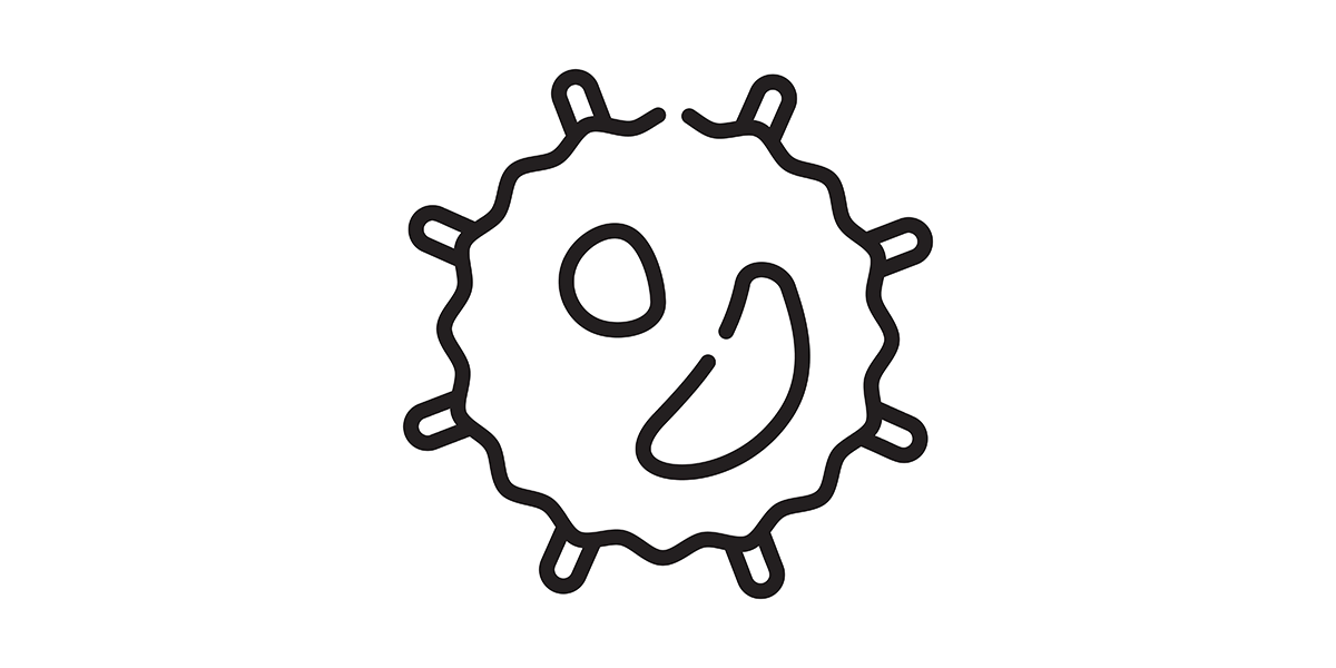 White Blood Cell Counts Cheat Sheet The Blood Project