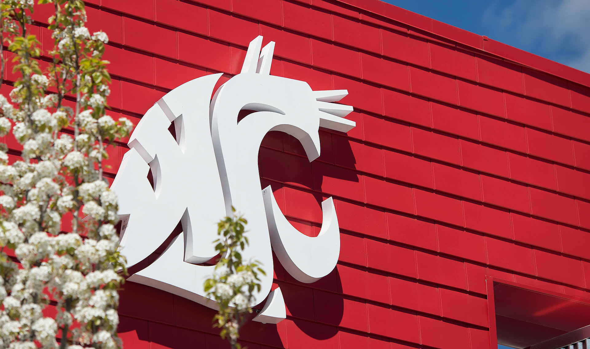 Wsu Certificate Programs