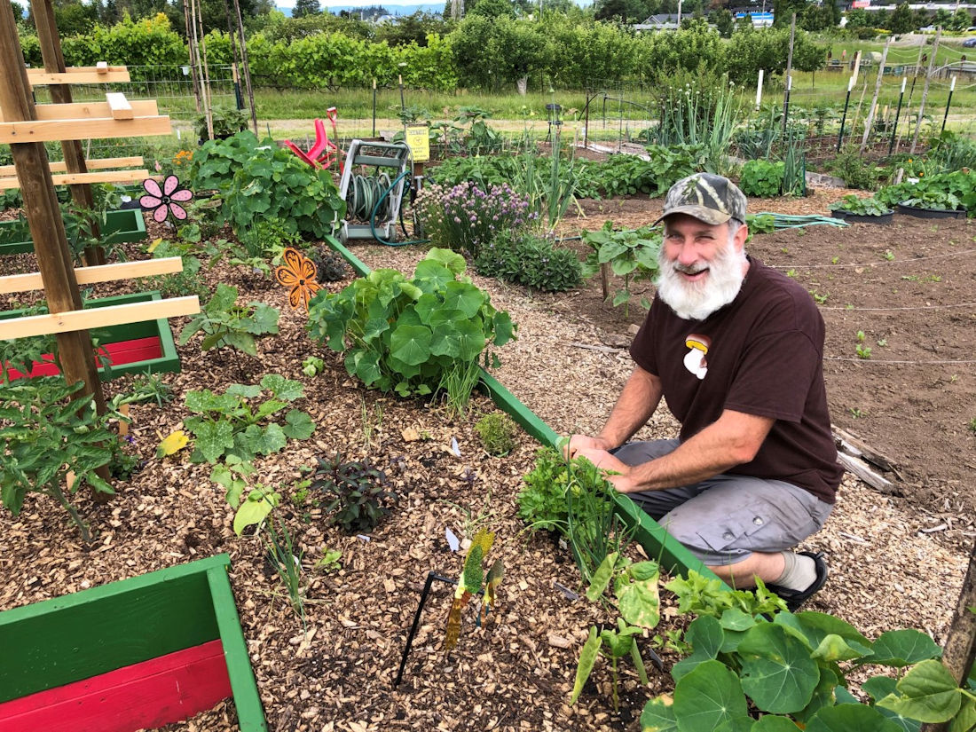 Wsu Extension Clark County