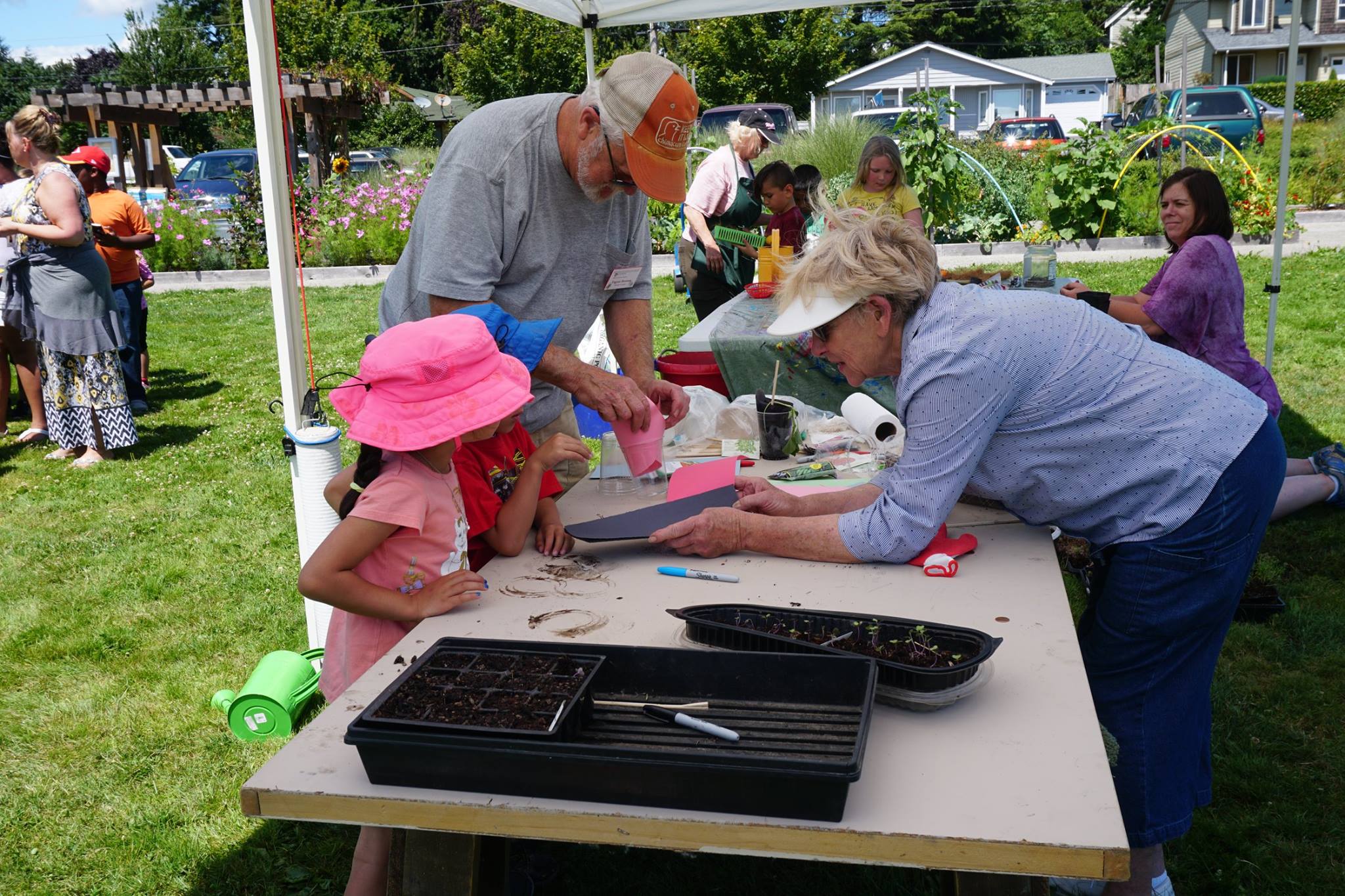 Wsu Extension Jobs