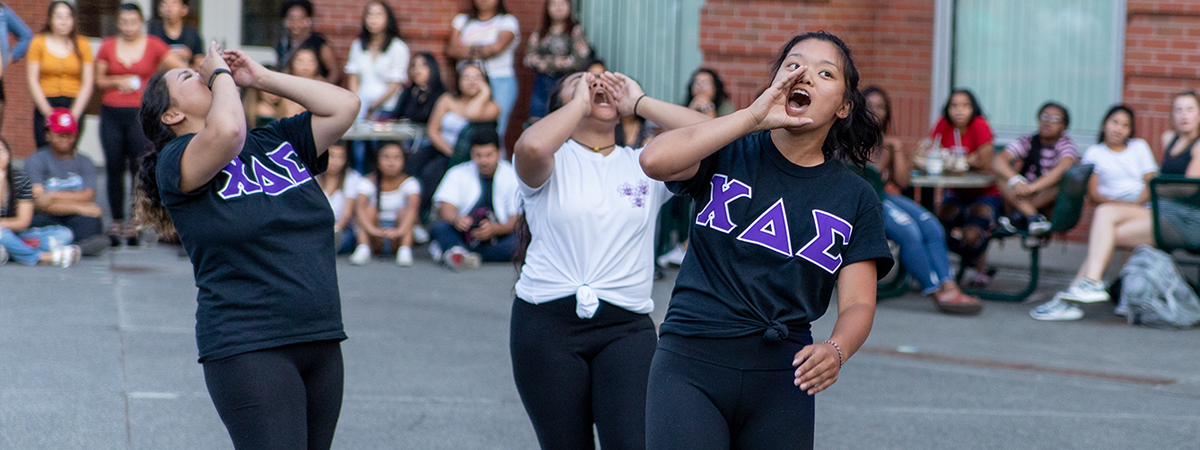 Wsu Greek Life Wsu Greek Life
