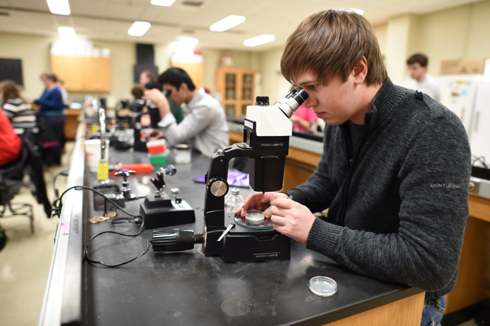 Wsu Molecular Biosciences Research Opportunities