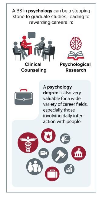 Wsu Online Psychology