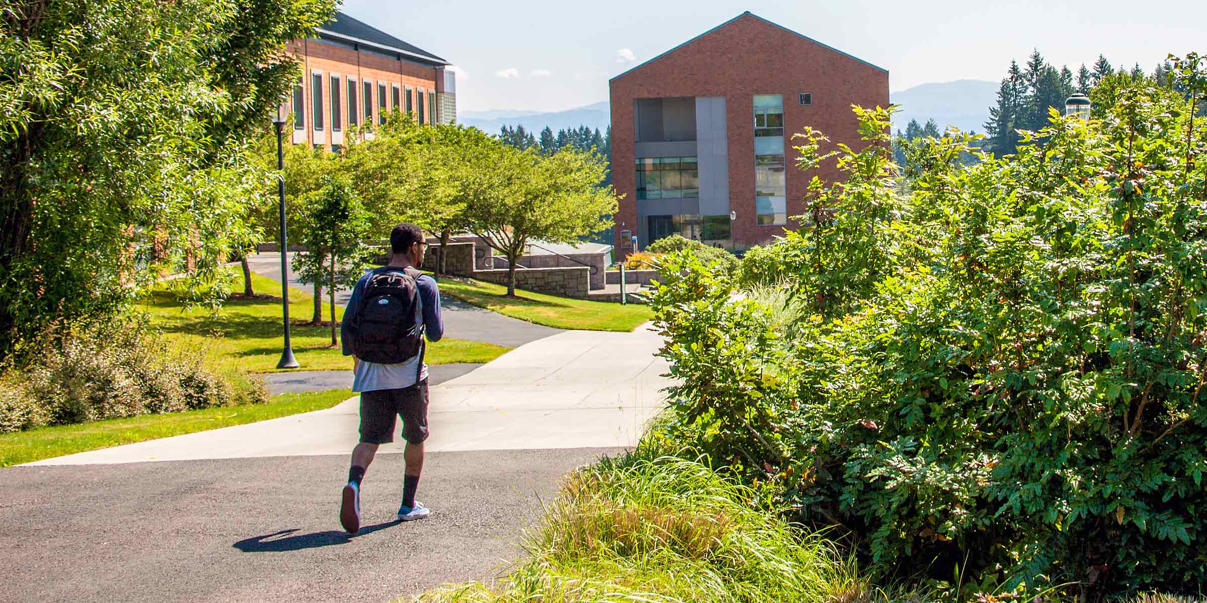 Wsu Student Email: Easy Access Guide