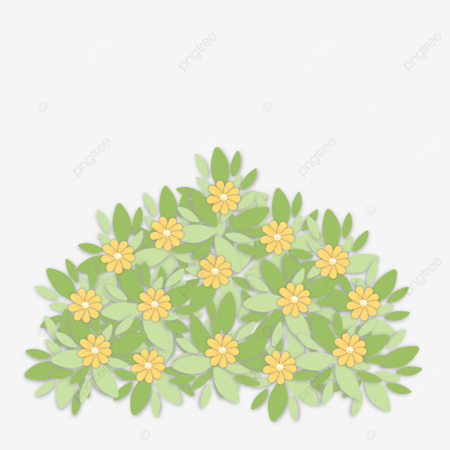 Yellow Flower Bush Care Tips